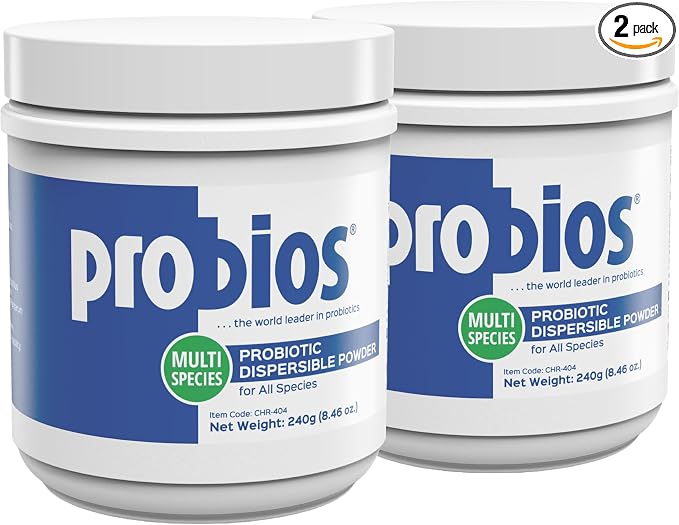 Digestive Support Probiotic for Dogs, Horses, Cats, Gut Health Powder for All Species, Daily Supplement for Digestion Immune Support, 240 Grams (Pack of 2)