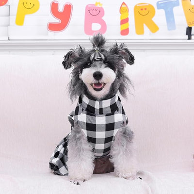 CuteBone Turtleneck Dog Velvet Dress Puppy Skirt Costume Pet Clothes Cat Apparel with Bow Hair Rope for Small Dogs CVD14L