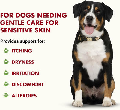 LIQUID-VET K9 Itch & Allergy Advanced Formula, Anti-Itch & Allergy Support with Omega-3s Fish Oil, MSM, Vitamin E, and Hyaluronic Acid - Dog Care Essentials for Dry, Sensitive Skin
