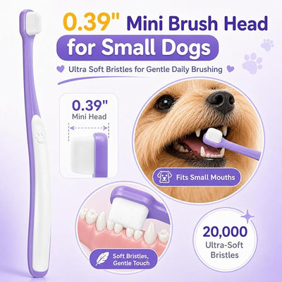 Small Dog Toothbrush, Mini Head, Soft Bristles, Under 30 lbs | Gentle Tiny Teeth Care. Curved Handle Reach. Soft Gum Comfort. Rubber Grip Control. Easy Daily Brushing.