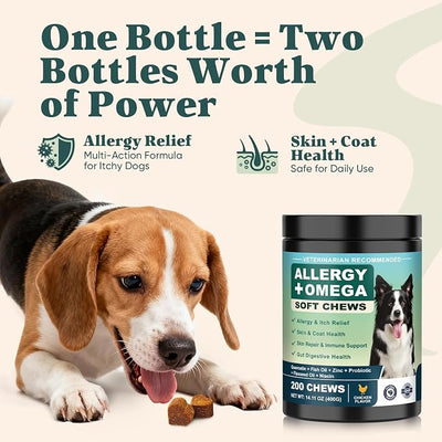 Dog Allergy Chews Omega 3 is Human,Itch Relief Multivitamin Medicine for Dogs Itching Skin Relief and Aller Immune Pet Allergy Dog Anti Itch Chews Coat Licking Supplements Pills Meds Medicine for Dogs
