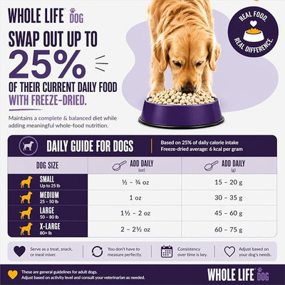Whole Life Dog Just One Salmon Freeze Dried Dog Treats - Human Grade High Protein Food, Healthy Training Snacks, Freeze Dried Salmon Food Toppers, USA Made Natural Treats - 2 oz (Value Pack of 1)