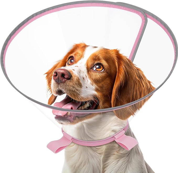 Clear Dog Cone for Medium Dogs After Surgery, Adjustable E-Collar to Stop Licking with Padded Neck for Corgi, Shiba Inu, Soft Recovery Collar with Reflective Trim for Night Visibility, Pink M