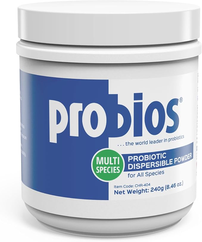 Digestive Support Probiotic for Dogs, Horses, Cats, Gut Health Powder for All Species, Daily Supplement for Digestion Immune Support, 240 Grams