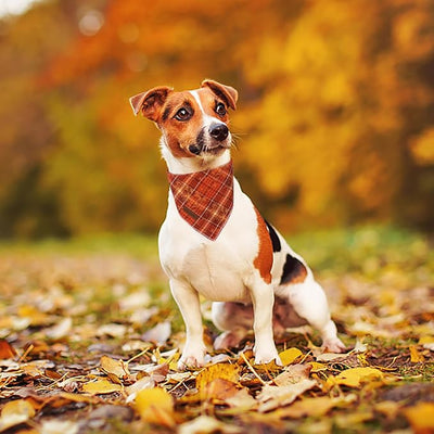 Unique Style Paws Dog Bandanas 1PC Washable Cotton Triangle Dog Scarfs Autumn Plaid with Orange Brown Grid for Small Medium Large Dogs and Cats