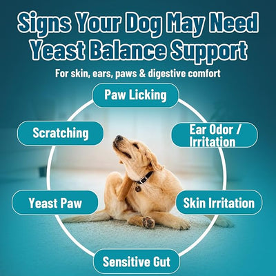 VICSOM Natural Dog Yeast Infection Treatment for Dogs, Itchy Skin & Ear Treatment Natural Support Allergy Relief, Dog Yeast Infection Relief, Support Irritation, Itching & Inflammation 60ml