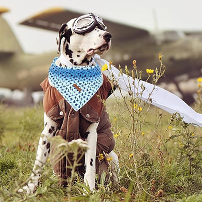 Lionheart Glory Soft Dog Scarf, Blue Square Adjustable Bandana for Small to Large Dogs, 1 Pack
