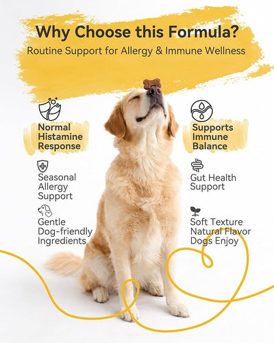 Dog Allergy Relief Chews with Quercetin,Colostrum,Bromelain& Probiotics, 120ct | Daily Allergy & Immune Support for Dogs, Supports Normal Histamine Response, Skin & Coat Comfort, Gut Health
