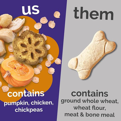 Fruitables Skinny Mini Dog Treats, Healthy Pumpkin Treat for Dogs, Low Calorie & Delicious, Puppy Training, No Wheat, Corn or Soy, Made in the USA, Rotisserie Chicken Flavor, 20oz
