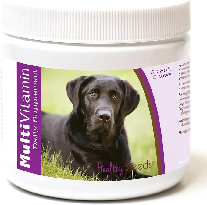 Labrador Retriever Multi-Vitamin Soft Chews 60 Count