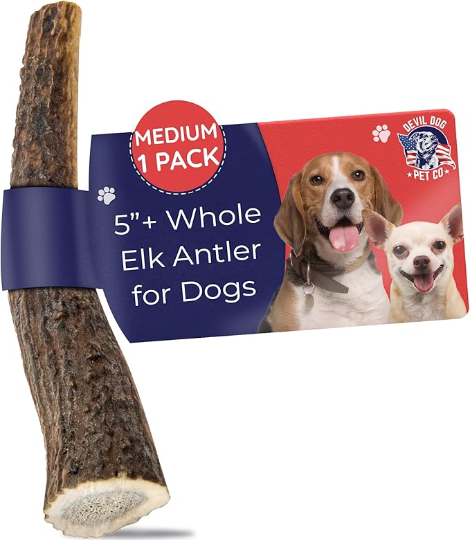 Elk Antlers for Dogs, Natural Dog Chew for Aggressive Chewers - Long Lasting and Odor Free - USA Sourced - Cleaner Teeth, Anxiety & Boredom Relief - Whole Medium 5"+ - Antler Bone