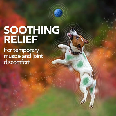 Vet’s Best Hip & Joint Supplement for Dogs, Glucosamine, MSM & Bromelain Joint Support for Mobility & Comfort, Dog Arthritis & Inflammation Support Chewable Tablets, Vet Formulated, 50 Count