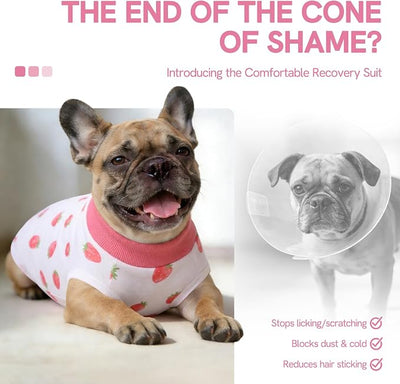 SAWMONG Recovery Suit for Dogs Female Male Zipper, Pink Strawberry Dog Onesie Body Suit After Surgery Spay Neuter, Cotton Breathable Dog Surgical Suit Pet, Substitute Dog E-Collar Cone, L