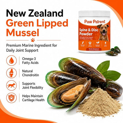 Green Lipped Mussel, 240g, Secret Powder for Dogs, Paw Parent Simple Daily Routine Care Powder for All Breeds