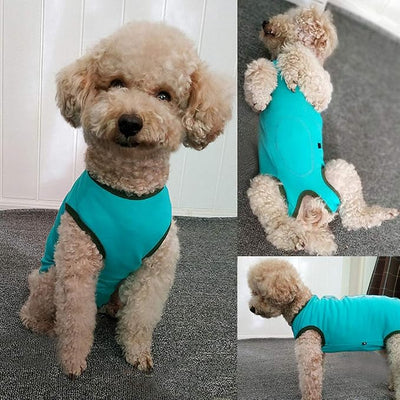 Dog’s Recovery Suit Post Surgery Shirt for Puppy, Wound Protective Clothes for Little Animals(Blue-xs)