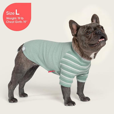 KYEESE 2Pack Waffle Dog Shirt with Sleeves, Lightweight Dog T Shirts for Small Dogs Boy Girl, Breathable Pet Tee Shirts Soft Dogs Clothes for Daily Wear, Green+Striped, L