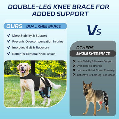 Dog Knee Brace for Torn ACL Hind Leg– Dog Leg Brace with Metal Stabilizers for Dogs with Torn ACL, Luxating Patella, Ligament Injuries & Hip Dysplasia, Limping or Osteoarthritis Recovery, XL