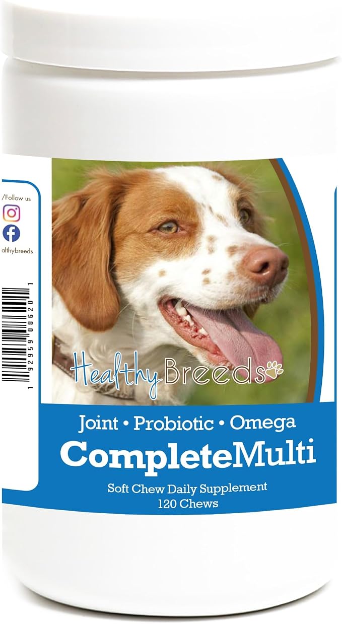Brittany All in One Multivitamin Soft Chew 120 Count