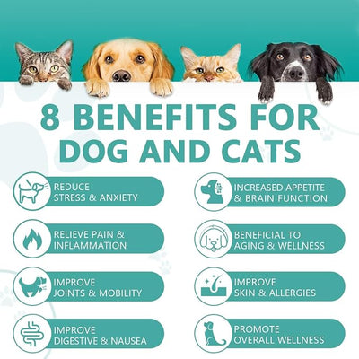 (2 Pack) Max Potency Hemp Oil for Dogs & Cats - Help Anxiety Stress Pain Inflammation Arthritis Aggressive Relax Sleep Allergies Seizures Relief - Treats Chews Joint & Hip - Organic Pet Calming Drops