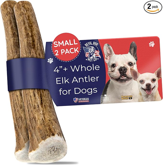 Elk Antlers for Dogs, Natural Dog Chew for Aggressive Chewers - Long Lasting and Odor Free - USA Sourced - Cleaner Teeth, Anxiety & Boredom Relief - Whole Small 4"+ 2 Pack