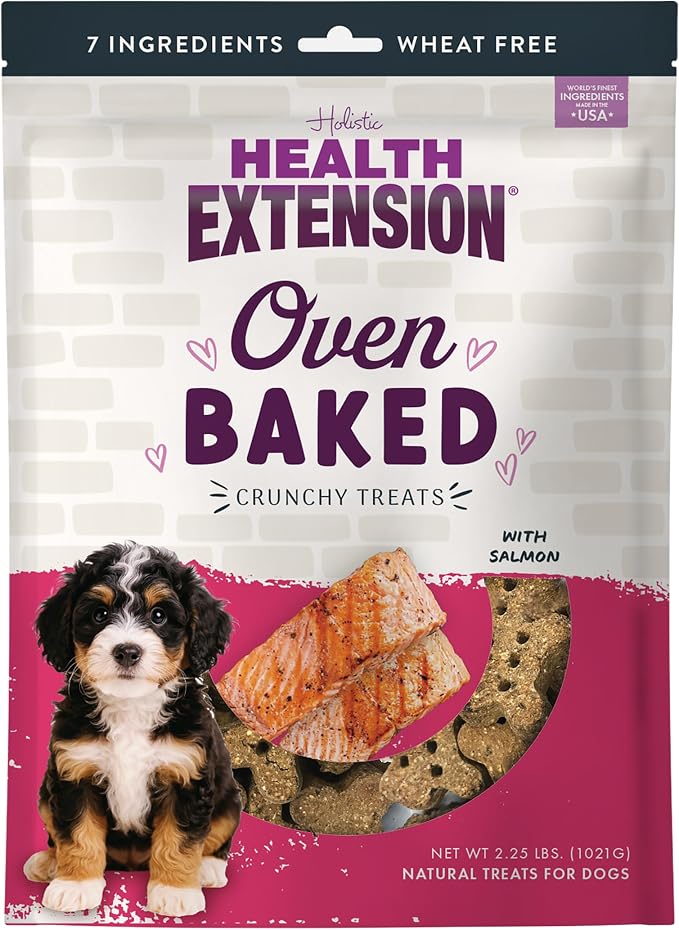 Oven-Baked Dog Treats, Salmon Recipe – Gluten & Wheat-Free, Superfood-Infused, Crunchy Biscuits for Puppy Training (2.25 lb)