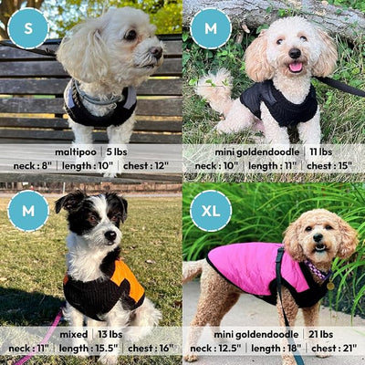 Gooby Fashion Vest Dog Jacket - Black, Large - Warm Zip Up Dog Bomber Vest with Dual D Ring Leash Water Resistant for Small to Medium Dogs