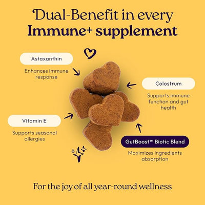 New! WellJoy Dog Supplement Immune+ GutBoost | Dog Health Supplement | Enhances Immune Response | Dual-Benefit GutBoost Formulation | Vet Formulated | Made in USA | Chicken Flavor | 90 Soft Chews