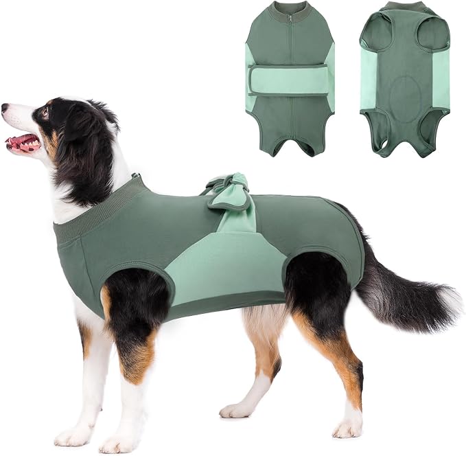 Recovery Suit for Dogs, Cotton Dog Surgery Suit Female Spay Pet Male Breathable, Zipper Neuter Onesie Bodysuit Prevent Licking Wounds, Substitute E-Collar & Cone(Green, Large)