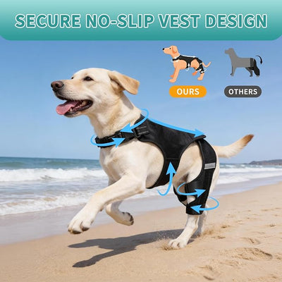 Dog Knee Braces for Torn ACL Hind Leg, Adjustable Dog Leg Braces for Back Leg with 4 Stabilizers for Luxating Patella Relieves Ligament Injury and Joint Pains