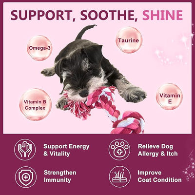 Probiotics for Dogs, Dog Probiotics for Digestive Health, 6 Billion CFU, with Prebiotics & Digestive Enzymes, Pumpkin & Omega-3, Dog Diarrhea Relief & Immune Support, Skin & Coat Care, 120 Soft Chews