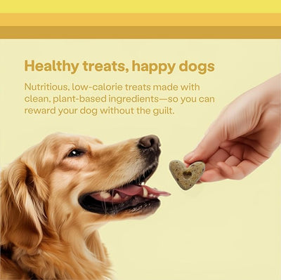 Wild Earth Superfood Dog Treats, Plant Based Dog Treats with Omega Acids, Prebiotics & Koji Protein, No Fillers, Veterinarian-Developed, Banana & Cinnamon Flavor