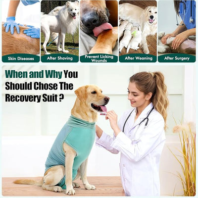 Dotoner Dog Surgery Recovery Suit Dog Suit for Male Female Neuter Anti-Lick Abdominal Wounds Bite Protective Outfit Alternative E-Collar & Cone Breathable Spay Suit for Medium Large Dogs