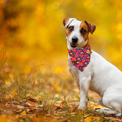 Unique Style Paws Dog Bandanas 1PC Washable Cotton Triangle Dog Scarfs Autumn with Colorful Maple Leaf for Small Medium Large Dogs and Cats