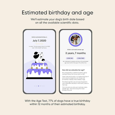 Embark Breed Identification Dog DNA Test & Dog Age Test Bundle - Discover Breed, Ancestry, Relatives, and Birthday