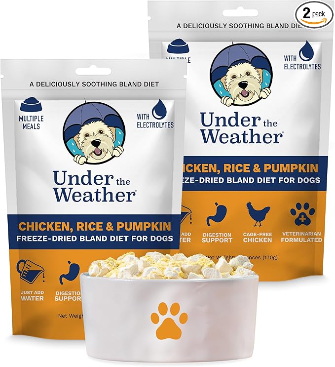 Bland Diet for Dogs | Easy to Digest for Sick Dogs |Always Be Ready | Contains Electrolytes - All Natural Freeze Dried 100% Human Grade Meats | 2 Pack - Rice, Chicken & Pumpkin - 6oz