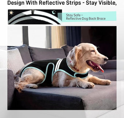 Dog Back Brace, Breathable Dog Post-Surgery Vest for IVDD, Arthritis & Spine Support, Adjustable Reflective Pet Back Bracer Pain-Relieving Harness, Black M
