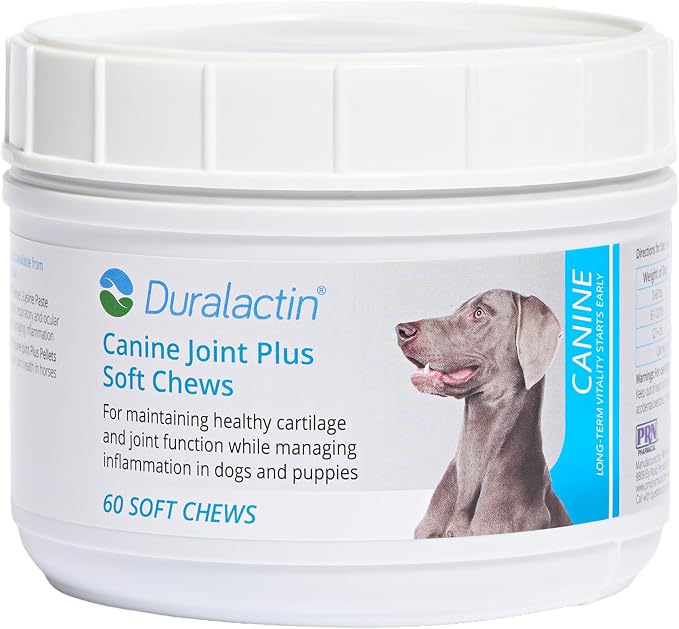 Duralactin Canine Joint Plus Soft Chews - Joint Health Supplement for Dogs & Puppies - Pet Mobility Support - 60 Soft Chews