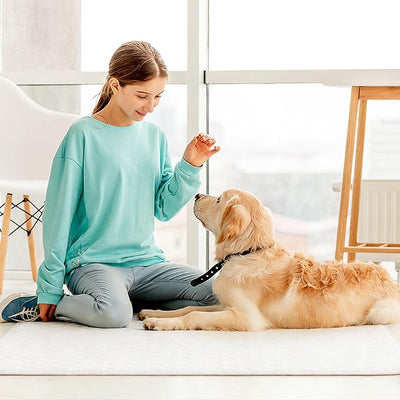 SCLOSE Washable Pee Pads for Dogs 4 Pack, 34" x 36" Waterproof Incontinence Bed Pads for Adults, Elderly and Kids, Nursing Pads, Chucks Pads, Super Asorbent Training Pads, Whelping Pads, Blue & Green