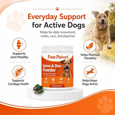 Green Lipped Mussel, 240g, Secret Powder for Dogs, Paw Parent Simple Daily Routine Care Powder for All Breeds