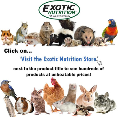 Glider Booster (2 oz.) - Complete Multivitamin - Powdered Vitamin & Mineral Supplement for Pet Sugar Gliders
