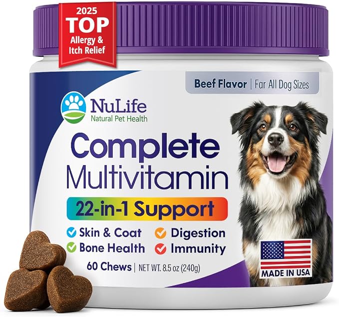 Dog Multivitamin Chewable - 22 in 1 Dog Vitamins and Supplements with Green Lipped Mussel & Omega 3 for Joints, Skin & Coat, Immune System - Senior & Puppy Multivitamin for Dogs - 60 Beef Chews