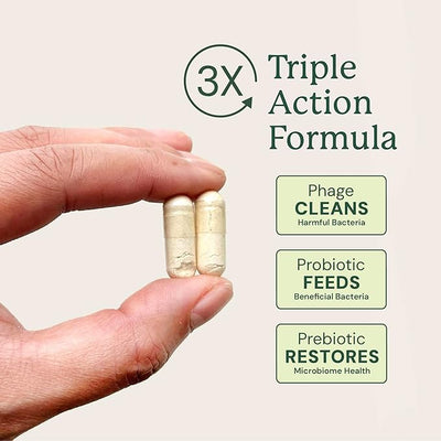 Animal Biome Probiotics for Dogs with S Boulardii, Gut Maintain (30 Capsules) – Triple-Action Small Dog Probiotics, Prebiotics & Phage Supplements for Gut Health, Firmer Stool & Diarrhea Support