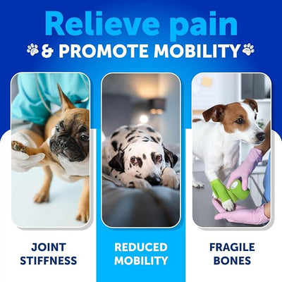 Hemp Hip and Joint Supplement for Dogs - Glucosamine for Dogs Joint Pain Relief - Chews with Chondroitin, MSM, Hemp Oil - Mobility Support, Cartilage Health - For Large, Small breeds - 120 Soft Treats