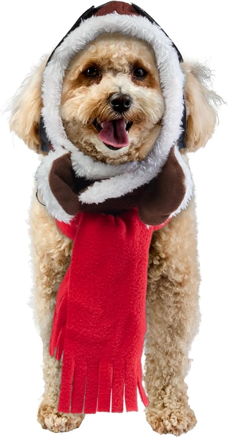 Aviator Pet Hat & Scarf Set for Dogs or Cats, S/M
