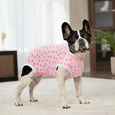 2 Packs Pet Dog Recovery Onesie Suit for Dogs Cats After Surgery,Dog Abdominal Wounds Bandages Cone E-Collar Alternative. (White Flower, XS)