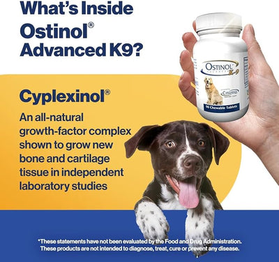 ZyCal Ostinol Advanced K-9 Joint Supplement for Dogs – Bioactive Protein Complex with Cyplexinol® Pro 50mg | Bone & Joint Dog Supplement | 90 Chewable Bone-Shaped Tablets