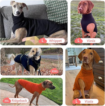 Sweatshirt for Vizsla/Weimaraner/Poodle/Dalmatian/German Dog, Reflective Sleeveless Warm Cotton Clothes for Big Dogs (Orange, X-Large(Chest 26.5'', Back 23''))