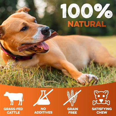 BRUTUS & BARNABY 6 Inch Bully Sticks for Multiple Dogs (100 Count) Bulk Value Pack – Long Lasting Natural Beef Chews, Grass-Fed Pizzle Sticks for Large Dogs & Aggressive Chewers