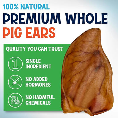 FETCHERONI Whole Pig Ears for Dogs Large - 50 Pack Long Lasting Dog Chews – One Ingredient Delicious All Natural Flavor – Easy to Digest Dog Treats for Large Dogs - Great for Teeth and Gums