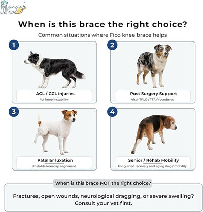 Dog Knee Brace for Hind Leg Support - Right Leg, CCL ACL Brace for Dogs, Vet Approved, Adjustable Orthopedic Support for Arthritis, Ligament Injuries & Post-TPLO Surgery Recovery (Large)